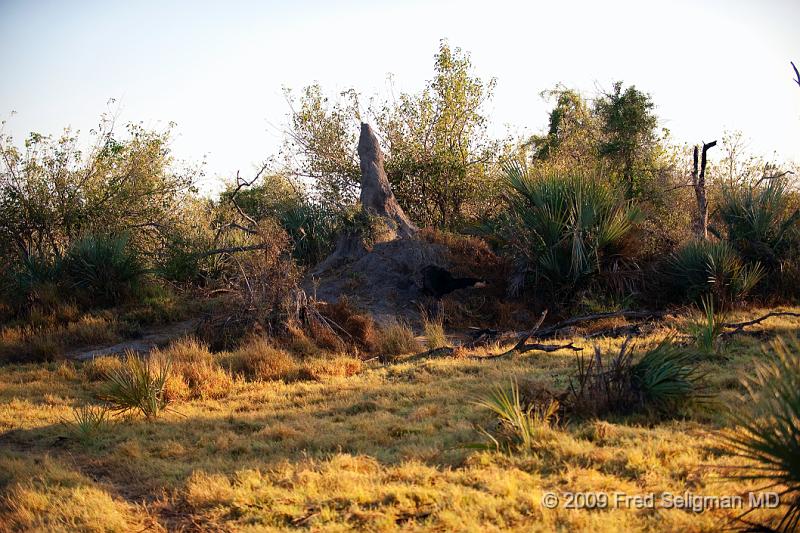 20090613_075745 D3 X1.jpg - Termite mounds, very common all over Africa